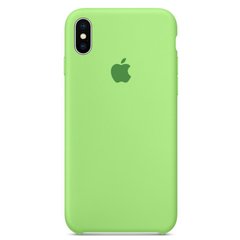 Чохол силіконовий soft-touch ARM Silicone case для iPhone X / Xs зелений Lake Green фото