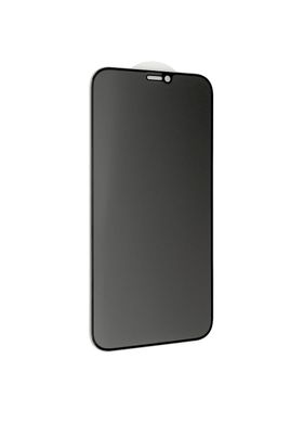 Захисне скло для iPhone 12 Pro Max Анти-шпигун CAA 2D повноекранне чорна рамка Black фото