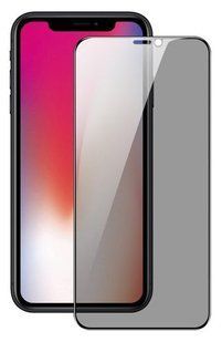 Захисне скло DUX DUCIS Privacy Series для Apple iPhone 16 Pro Max фото