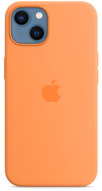 Чехол Silicone Case with Magsafe для iPhone 13 Clover AAA фото