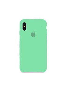 Чехол RCI Silicone Case iPhone Xs/X - Spearmint фото