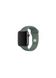 Ремешок Sport Band для Apple Watch 38/40mm силиконовый зеленый спортивный size(s) ARM Series6 5 4 3 2 1 Pine Green фото
