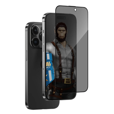 Захисне 2.5D скло Blueo Full Cover Anti-Peep для Apple iPhone 17 Pro/17/16 Pro фото