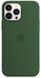 Чехол Silicone Case with Magsafe для iPhone 13 Pro Clover Green AAA