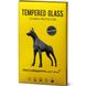 Защитное стекло Doberman Anti Spy Protective Glass for iPhone 11/XR