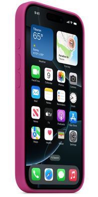 Чохол Silicone Case with MagSafe для Apple iPhone 16 Pro Star Fruit AAA фото