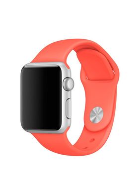 Ремешок Sport Band для Apple Watch 42/44mm силиконовый красный спортивный ARM Series 5 4 3 2 1 red фото