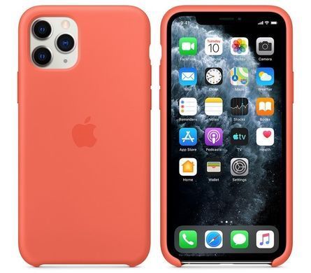 Чехол Silicone Case AA для Apple iPhone 11 Pro Pomergranate фото