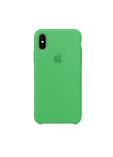 Чехол ARM Silicone Case iPhone Xs/X spearmint фото