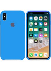 Чехол RCI Silicone Case iPhone Xs/X Ultra Blue фото