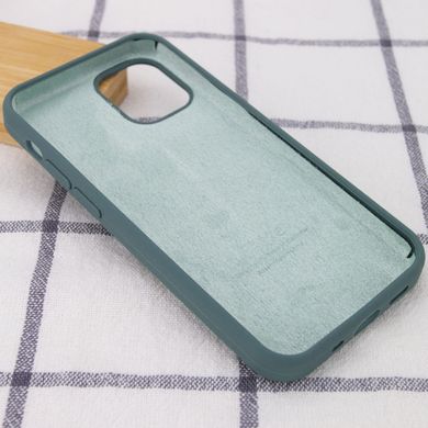 Чохол Silicone Case Full Protective AA для Apple iPhone 12 Pro Max Cactus фото