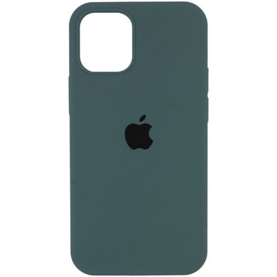 Чохол Silicone Case Full Protective AA для Apple iPhone 12 Pro Max Cactus фото