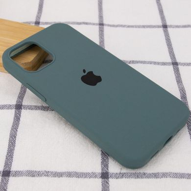 Чохол Silicone Case Full Protective AA для Apple iPhone 12 Pro Max Cactus фото