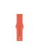 Ремешок Sport Band для Apple Watch 42/44mm силиконовый оранжевый спортивный size(s) ARM Series 6 5 4 3 2 1 Clementine