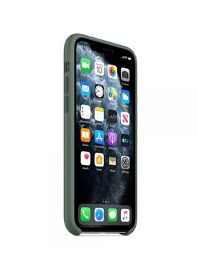 Чохол силіконовий soft-touch Apple Silicone Case для iPhone 11 зелений Pine Green фото