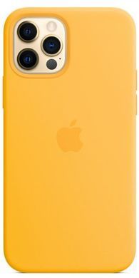 Чехол Silicone Case with Magsafe для Apple iPhone 12/12 Pro Amethyst AAA фото
