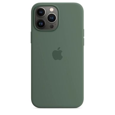 Чохол силіконовий soft-touch Apple Silicone case with MagSafe для iPhone 13 Pro Max Зелений Eucalyptus фото