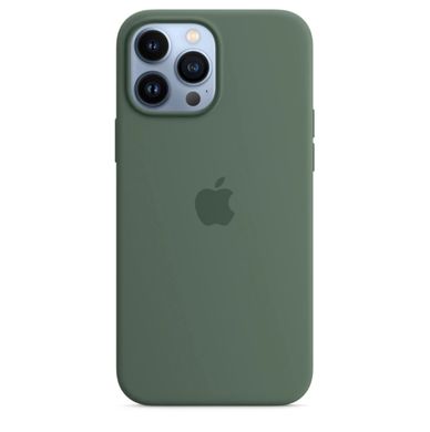 Чохол силіконовий soft-touch Apple Silicone case with MagSafe для iPhone 13 Pro Max Зелений Eucalyptus фото